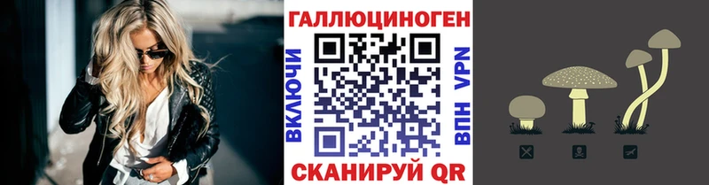 Галлюциногенные грибы мухоморы  цены   Щигры 